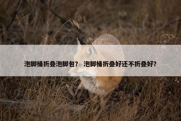 泡脚桶折叠泡脚包？ 泡脚桶折叠好还不折叠好？
