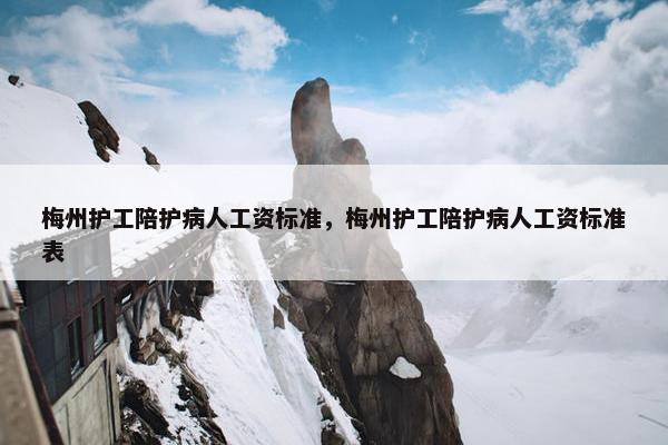 梅州护工陪护病人工资标准，梅州护工陪护病人工资标准表