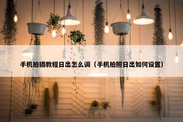 手机拍摄教程日出怎么调（手机拍照日出如何设置）