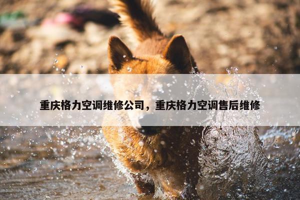 重庆格力空调维修公司，重庆格力空调售后维修