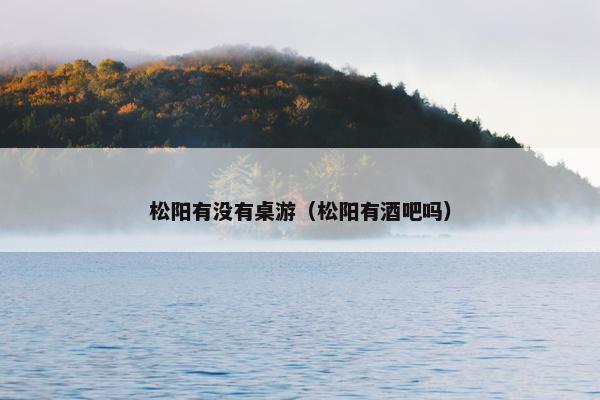 松阳有没有桌游（松阳有酒吧吗）