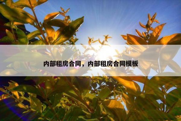内部租房合同，内部租房合同模板