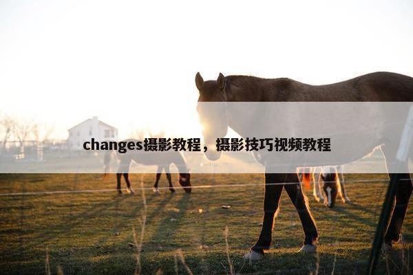 changes摄影教程，摄影技巧视频教程