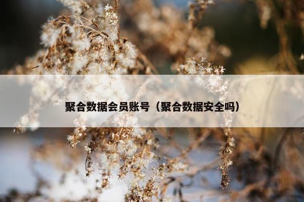 聚合数据会员账号（聚合数据安全吗）