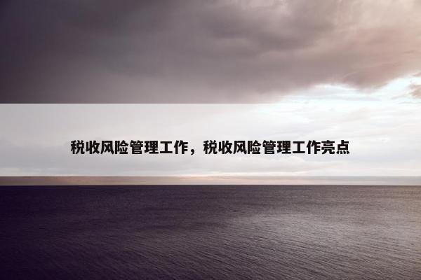 税收风险管理工作，税收风险管理工作亮点