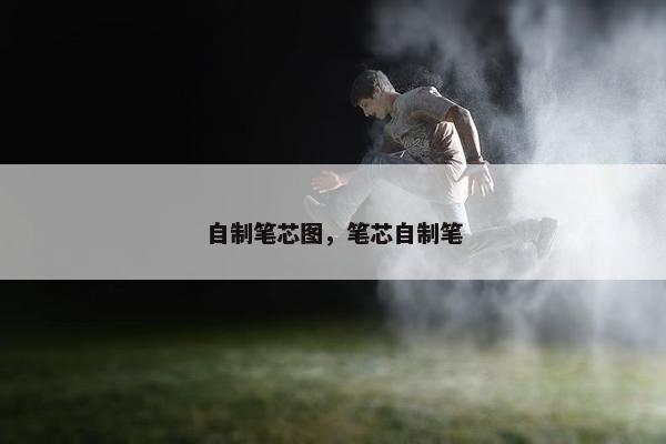 自制笔芯图，笔芯自制笔