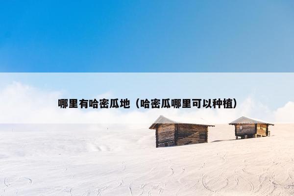 哪里有哈密瓜地（哈密瓜哪里可以种植）