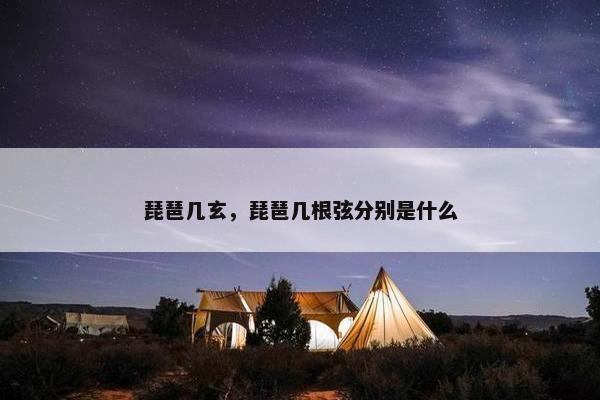 琵琶几玄，琵琶几根弦分别是什么