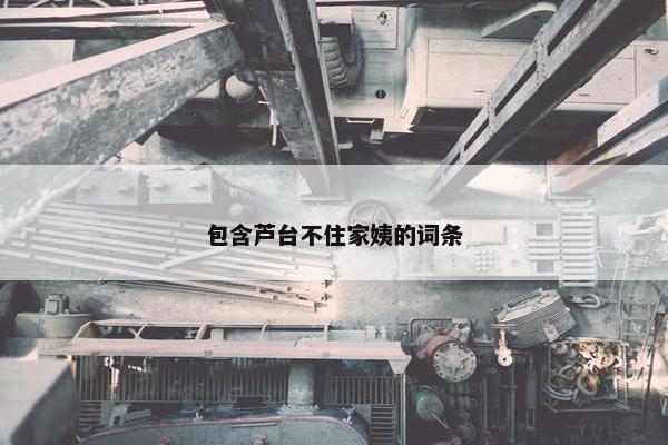 包含芦台不住家姨的词条
