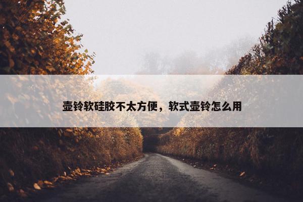 壶铃软硅胶不太方便，软式壶铃怎么用