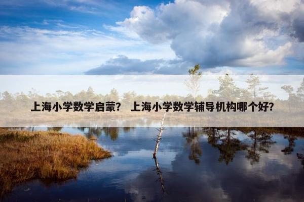 上海小学数学启蒙？ 上海小学数学辅导机构哪个好？