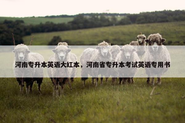 河南专升本英语大红本，河南省专升本考试英语专用书