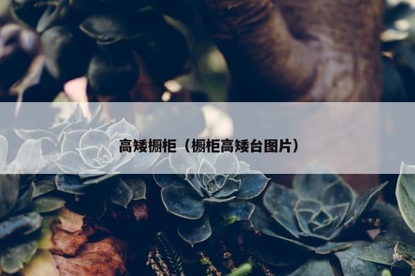 高矮橱柜（橱柜高矮台图片）