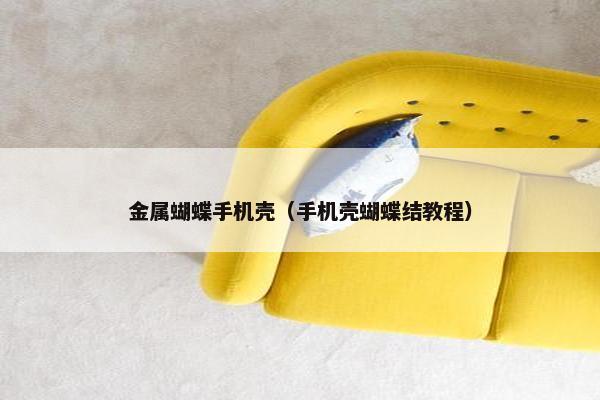 金属蝴蝶手机壳（手机壳蝴蝶结教程）