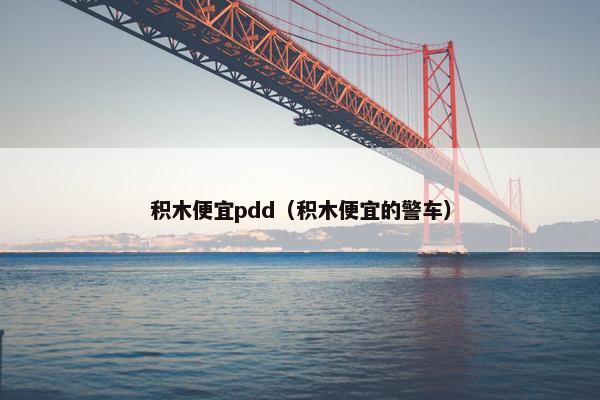 积木便宜pdd（积木便宜的警车）