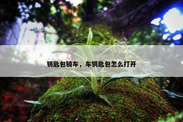钥匙包骑车，车钥匙包怎么打开