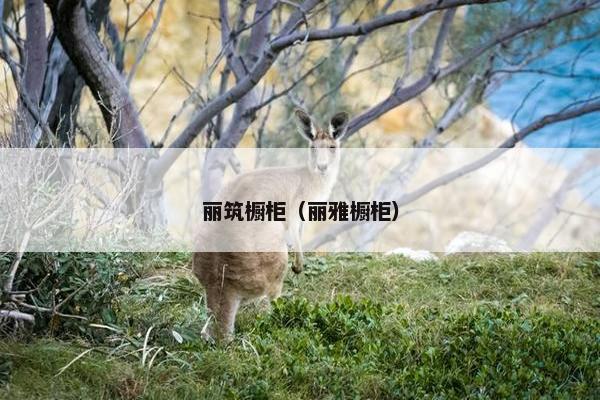 丽筑橱柜（丽雅橱柜）
