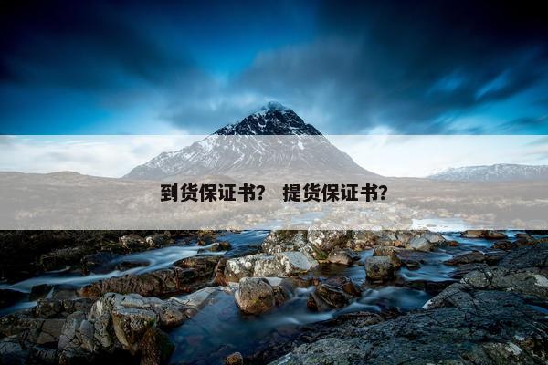 到货保证书？ 提货保证书？