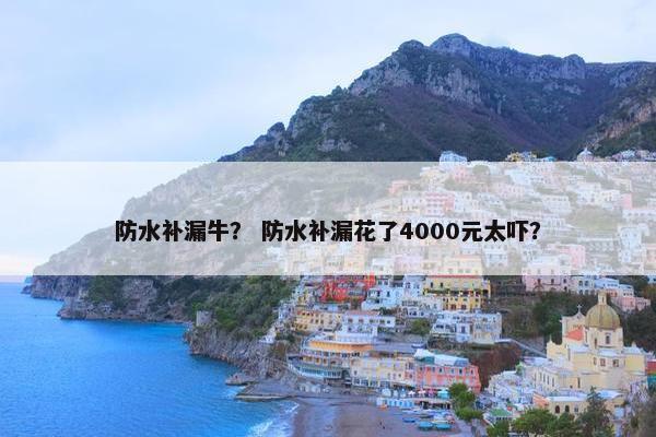 防水补漏牛？ 防水补漏花了4000元太吓？