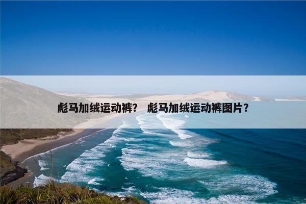 彪马加绒运动裤？ 彪马加绒运动裤图片？