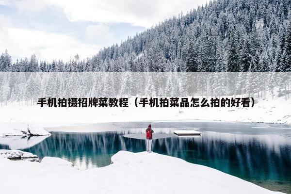 手机拍摄招牌菜教程（手机拍菜品怎么拍的好看）