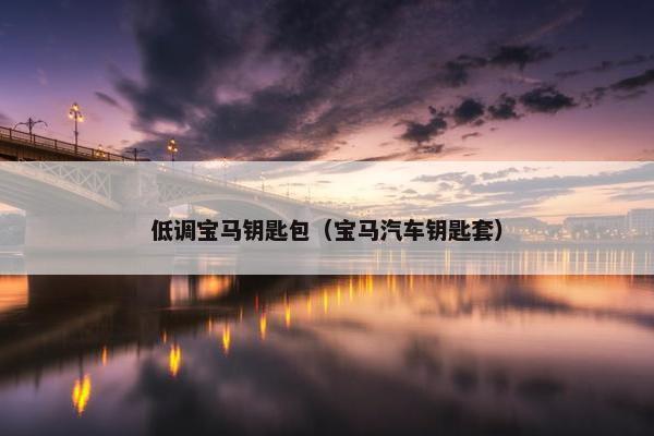 低调宝马钥匙包（宝马汽车钥匙套）
