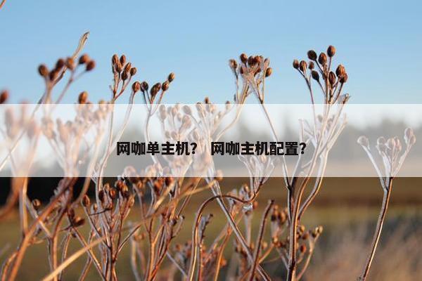 网咖单主机？ 网咖主机配置？