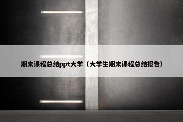 期末课程总结ppt大学（大学生期末课程总结报告）
