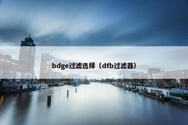 bdge过滤选择（dfb过滤器）