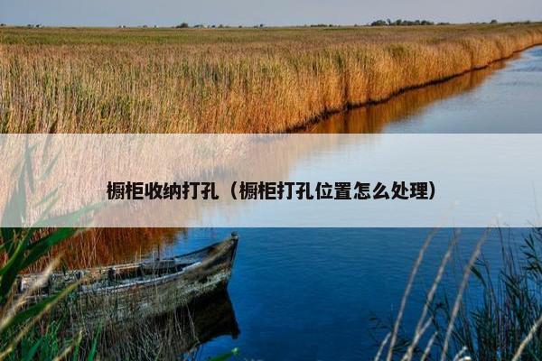 橱柜收纳打孔（橱柜打孔位置怎么处理）