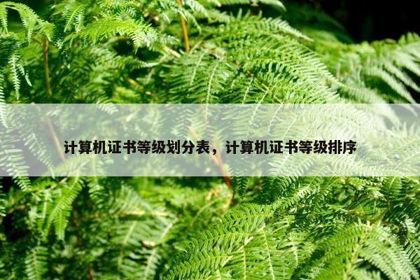 计算机证书等级划分表，计算机证书等级排序