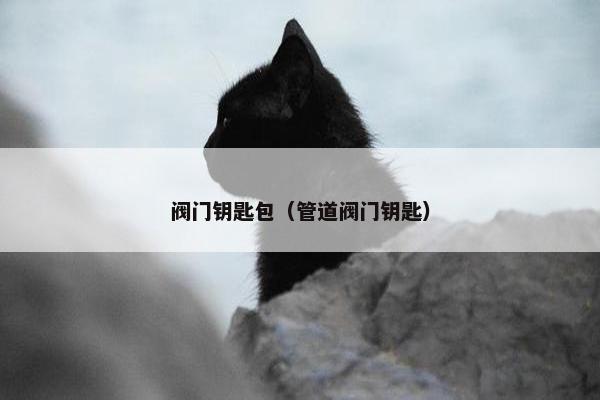 阀门钥匙包（管道阀门钥匙）