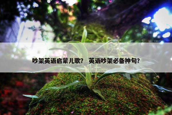 吵架英语启蒙儿歌？ 英语吵架必备神句？