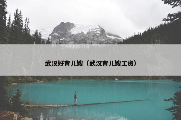 武汉好育儿嫂（武汉育儿嫂工资）