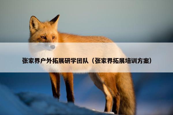 张家界户外拓展研学团队（张家界拓展培训方案）