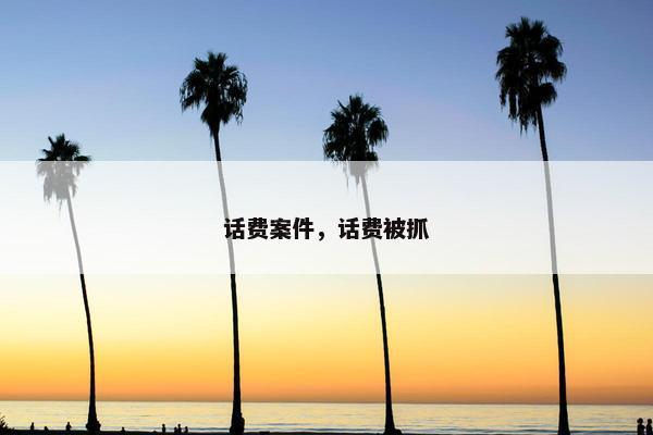 话费案件，话费被抓