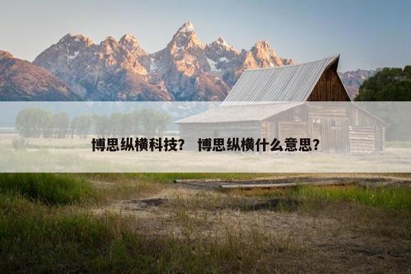 博思纵横科技？ 博思纵横什么意思？
