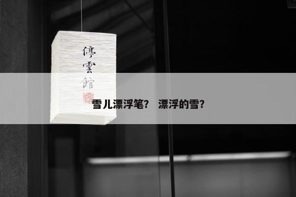 雪儿漂浮笔？ 漂浮的雪？