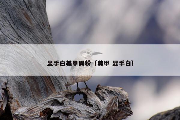显手白美甲黑粉（美甲 显手白）