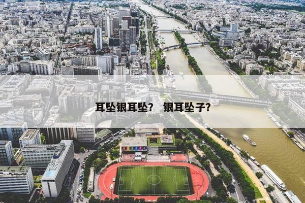 耳坠银耳坠？ 银耳坠子？