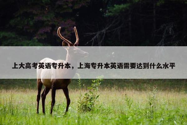 上大高考英语专升本，上海专升本英语需要达到什么水平