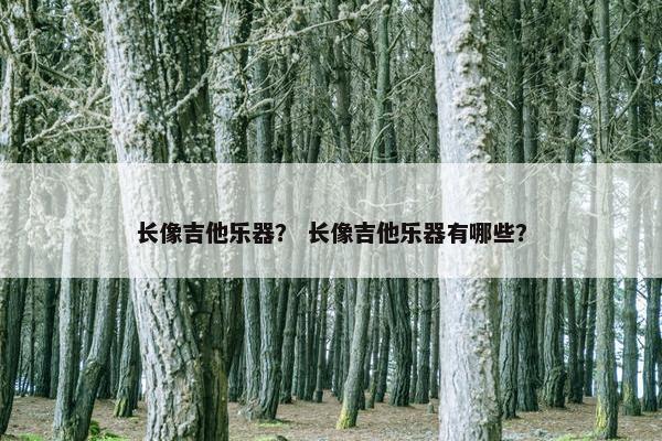 长像吉他乐器？ 长像吉他乐器有哪些？
