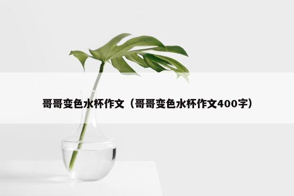 哥哥变色水杯作文（哥哥变色水杯作文400字）