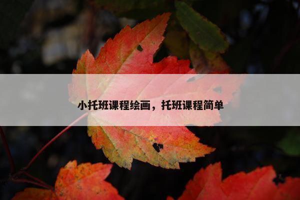 小托班课程绘画，托班课程简单