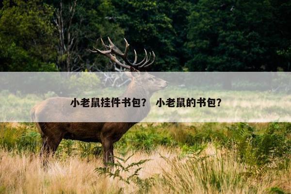 小老鼠挂件书包？ 小老鼠的书包？
