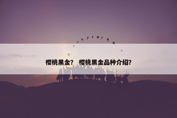 樱桃黑金？ 樱桃黑金品种介绍？