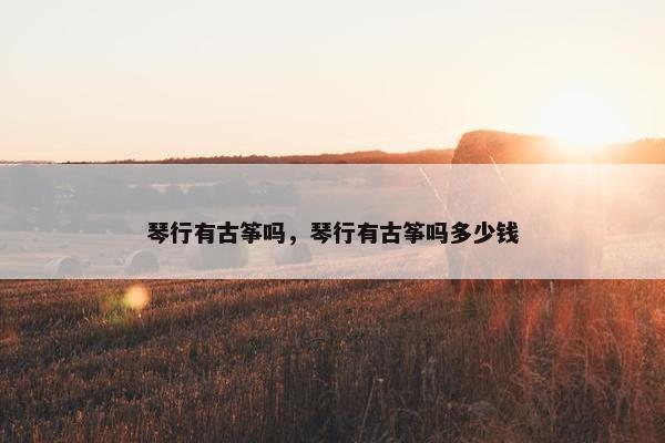 琴行有古筝吗，琴行有古筝吗多少钱