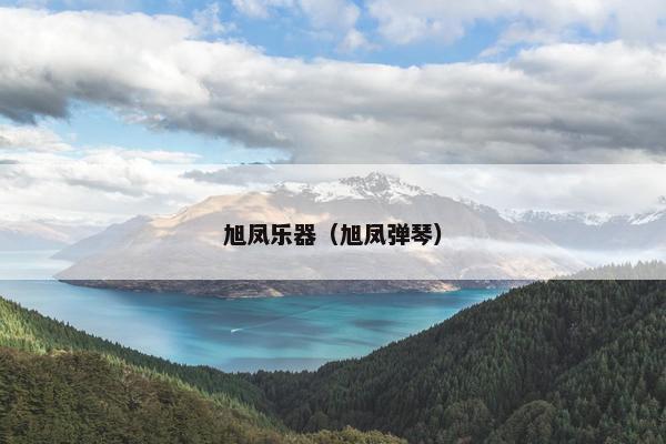 旭凤乐器（旭凤弹琴）