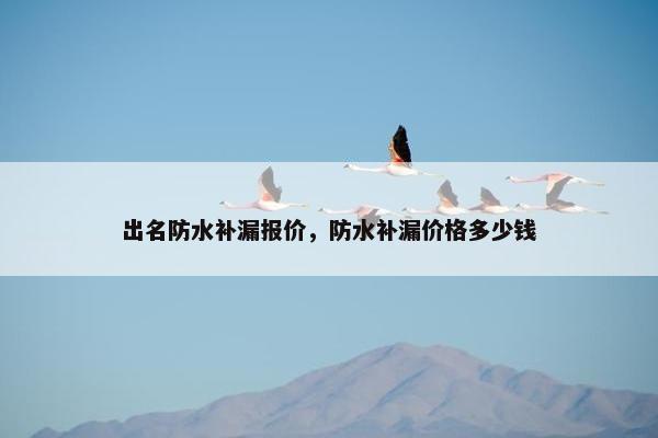 出名防水补漏报价，防水补漏价格多少钱