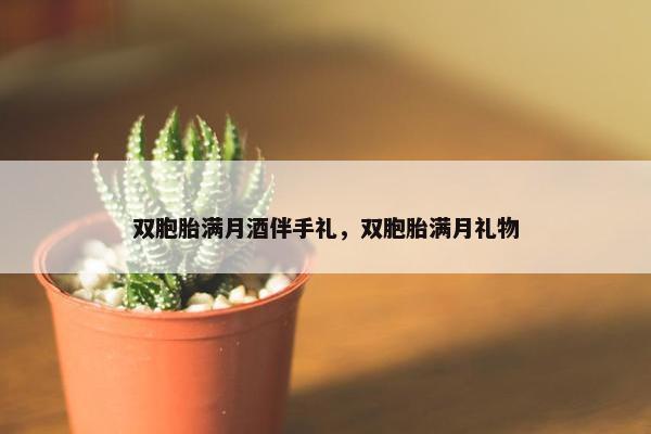 双胞胎满月酒伴手礼，双胞胎满月礼物